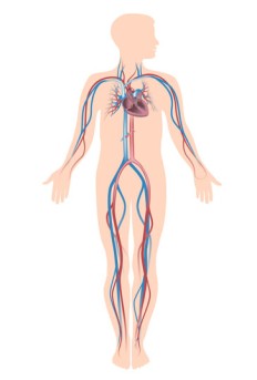 Femoral Artery Cannulation by OrangeCountySurgeons